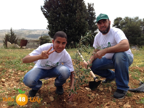 ludandyaffazaitoon (13).JPG